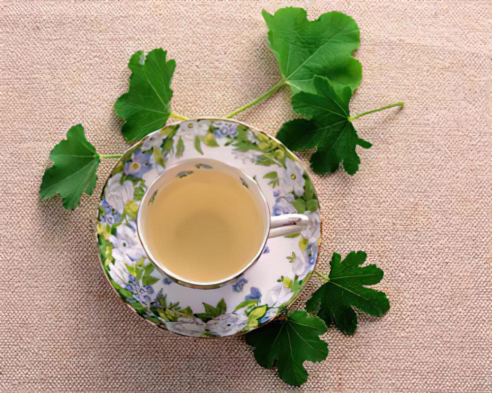 如何摆绿色植物化煞催运