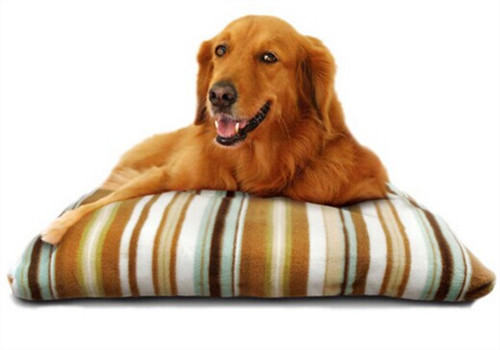 买狗窝垫需要注意哪些问题？