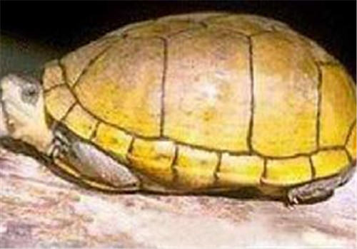 滴流过滤的摆放及易犯的错误介绍