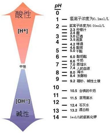 狗狗尿液会导致爆胎是真的吗