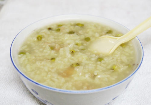 猫咪肠胃病的一些治疗误区