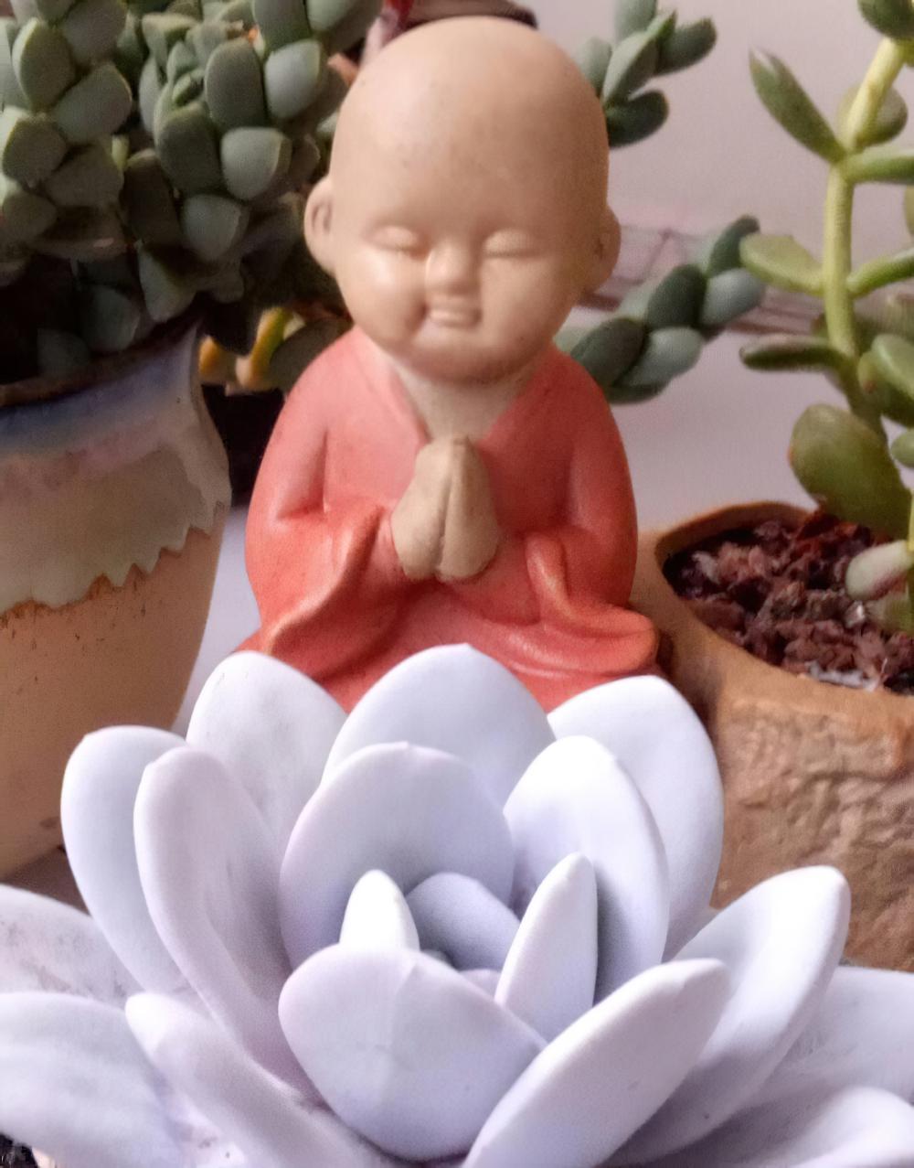 爱上了多肉会成为……第二条几乎每个人都有，倒数第二条是每个人的梦想