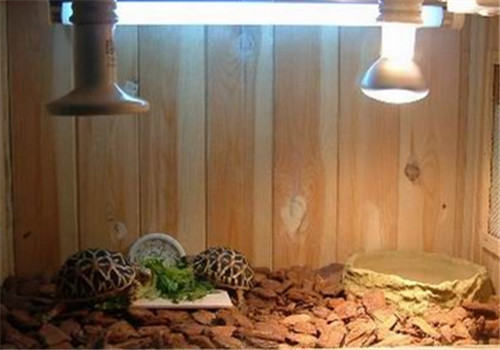 如何辨别UVB的真假? 如何辨别UVB的真假?