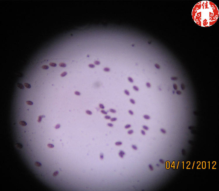 宠物龟医院护理方法 宠物龟医院护理方法