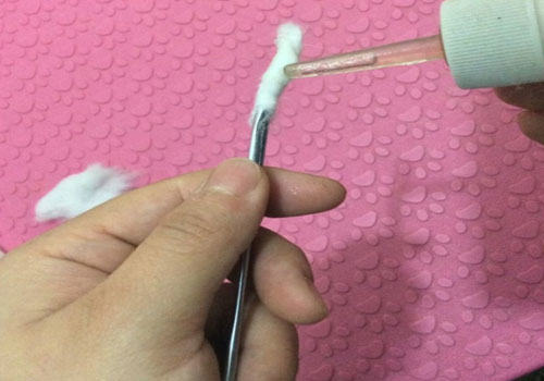 给家里猫咪耳道的检查以及清理方法