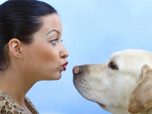 学会向宠物分享秘密