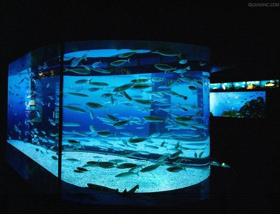 水族灯具有一些什么作用