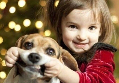 孩子与狗狗其实并不矛盾