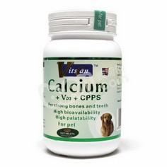 狗狗产后抽搐怎么办 狗狗产后抽搐怎么办