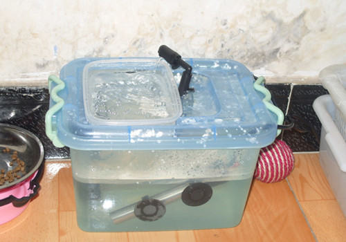 【DIY】猫咪自动饮水器制作