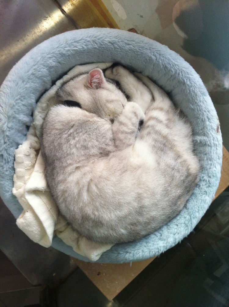 冬季，你的宝贝要怎么过？