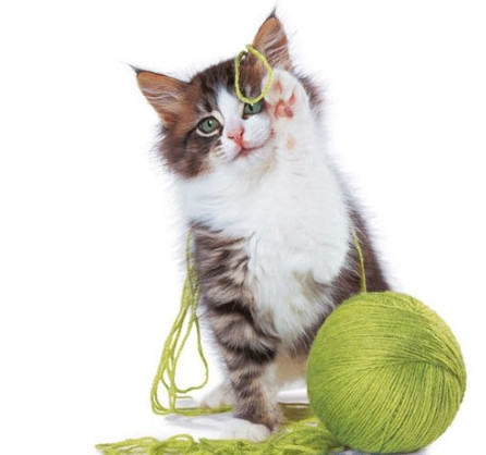 猫咪毛球形成的原因及预防措施 猫咪毛球形成的原因及预防措施