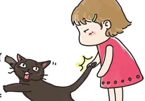 与猫咪相处的错误行为