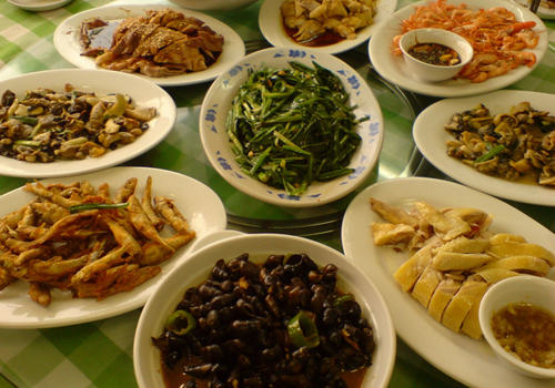 带狗狗上饭桌是否可取