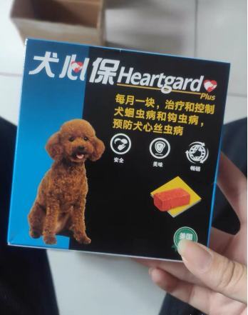 心丝虫怎么预防？犬心保细节控