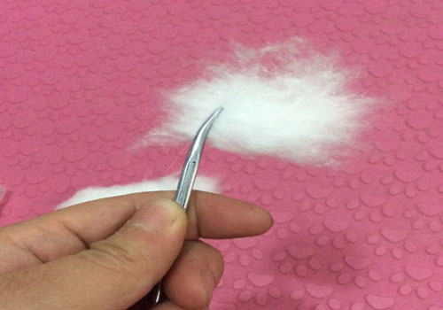 给家里猫咪耳道的检查以及清理方法