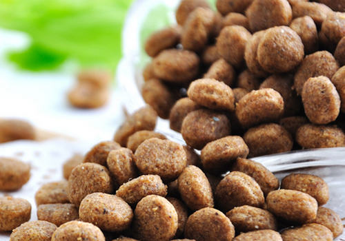 如何保存狗粮 如何保存狗粮