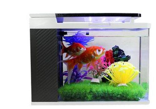 超白鱼缸选择时要注意打胶