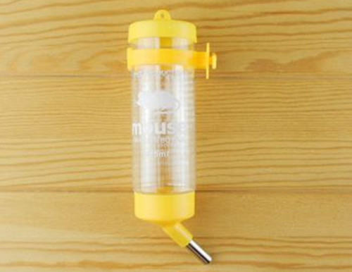 如何训练兔兔使用滚珠饮水器