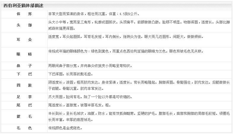 关于西伯利亚猫的介绍