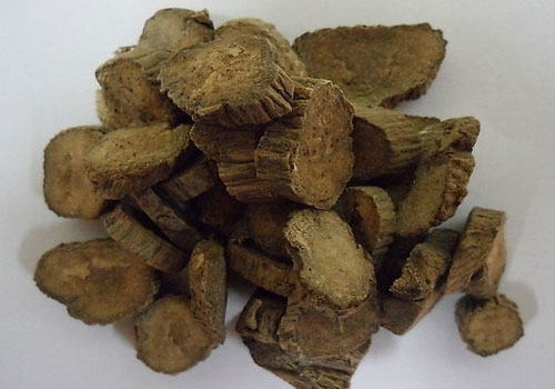 适宜猫咪的活血祛瘀药