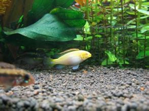 水色判断水质好坏的方法