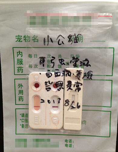 捡到流浪猫该怎么办？（一）（医院体检篇）
