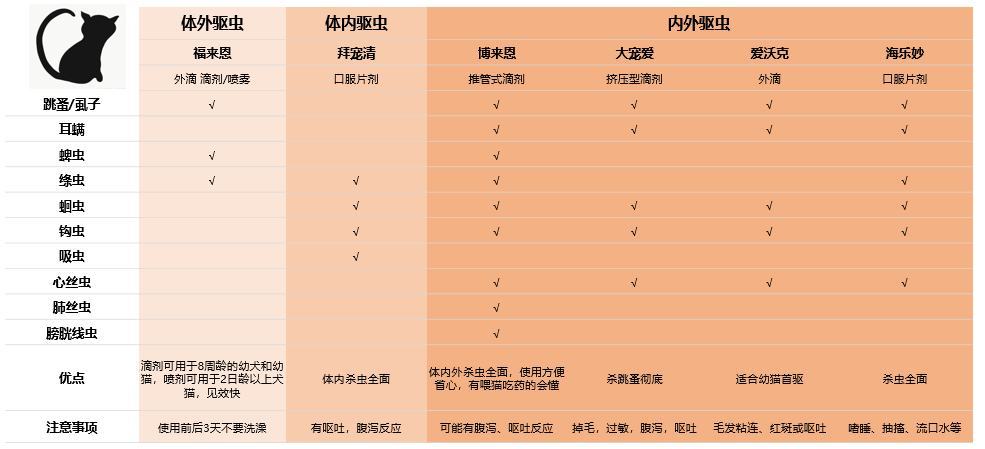 给猫咪驱虫多久一次？有哪些雷区要避开？