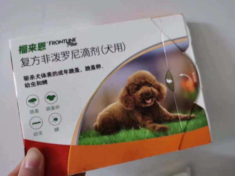 五年铲屎官的走心分享,狗狗体外驱虫 五年铲屎官的走心分享,狗狗体外驱虫