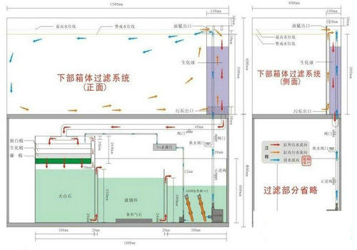 水族箱过滤系统原理揭秘
