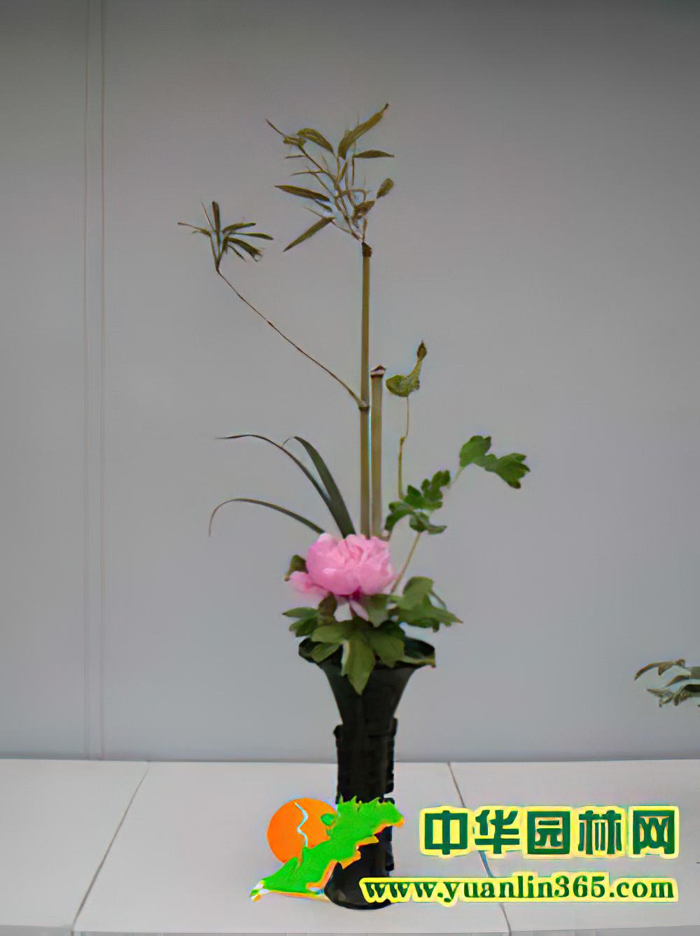 竹子在插花中的实际应用