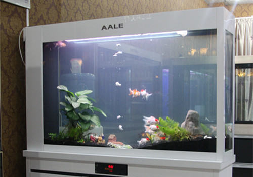 水族箱管理必须知道的事 水族箱管理必须知道的事