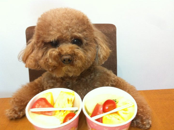 几种对狗狗致命的水果介绍