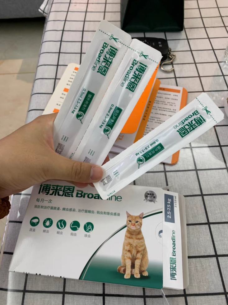 新手给猫怎么驱虫?资深铲屎官吐血整理! 新手给猫怎么驱虫?资深铲屎官吐血整理!