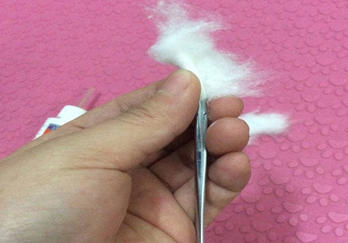 给家里猫咪耳道的检查以及清理方法