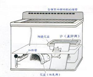 各种龟窝的布置图分享（图）