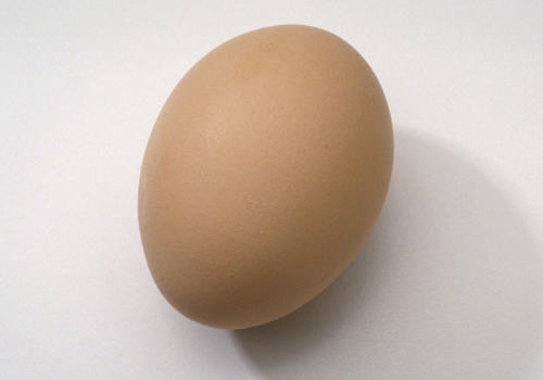 蛋黄对狗狗有哪些作用 蛋黄对狗狗有哪些作用