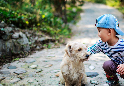 路遇狗狗要注意哪些问题