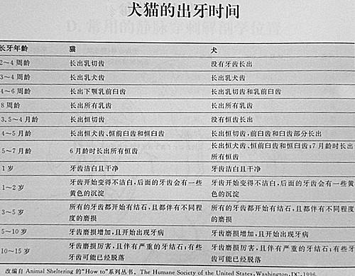 免疫—为犬猫健康保驾护航 免疫—为犬猫健康保驾护航