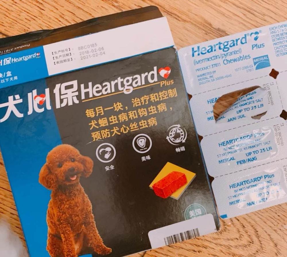 幼犬体内驱虫选什么？铲屎官必看！