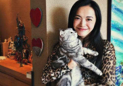 姚晨怀抱猫咪，为什么明星都爱猫？